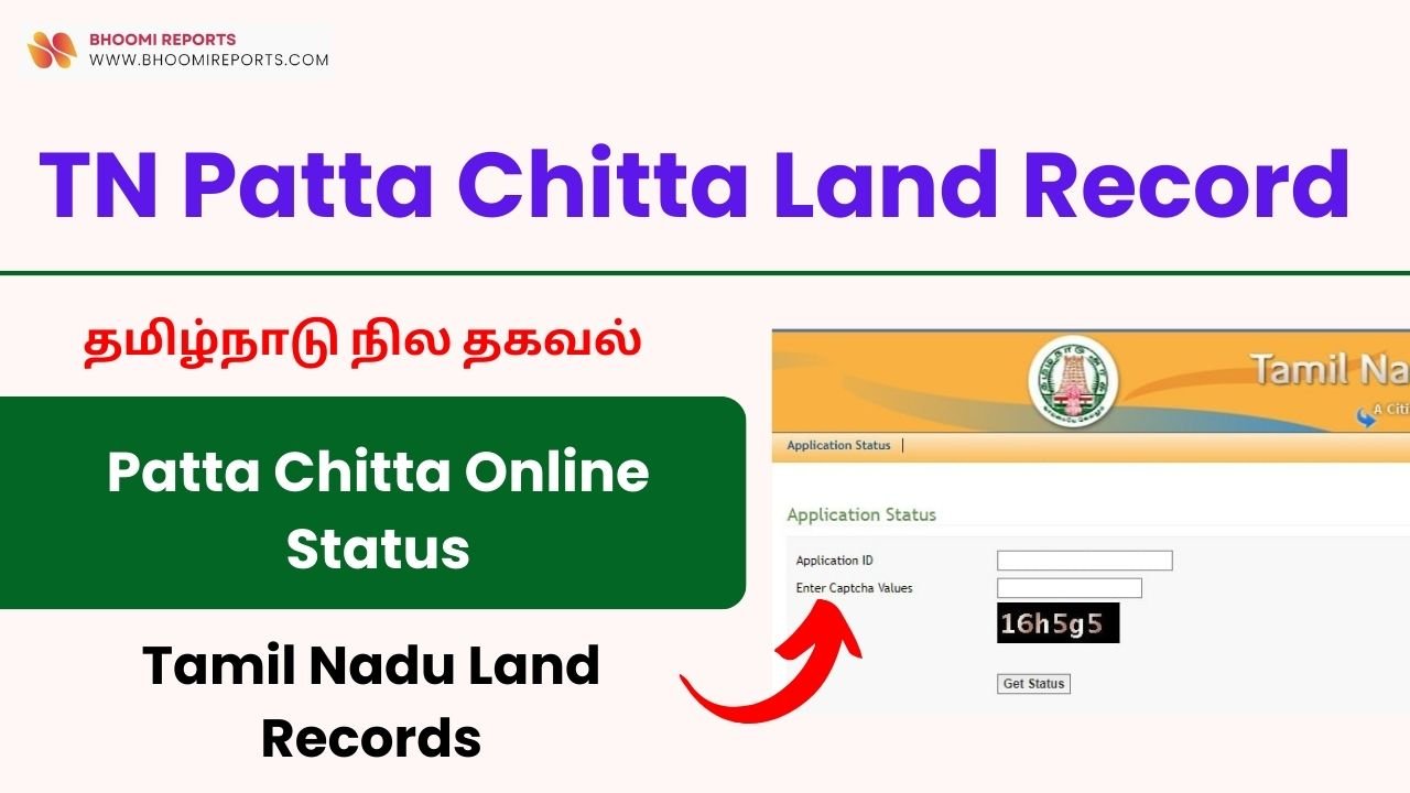 Patta Chitta Online Status, View தமிழ்நாடு நில தகவல்